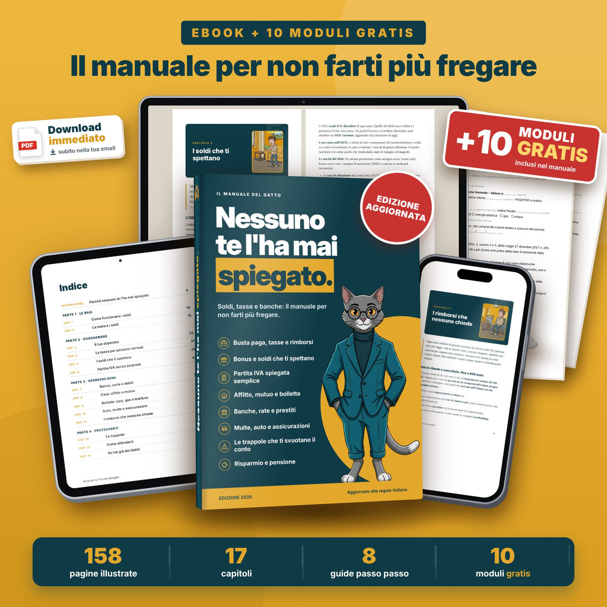 Nessuno te l'ha mai spiegato – Il manuale del Gatto Saggio